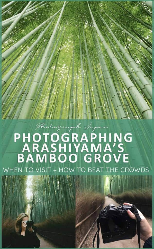 Arashiyama Bamboo Grove, Kyoto, Japan 