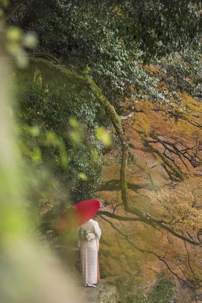 Arashiyama Bamboo Grove, Kyoto, Japan