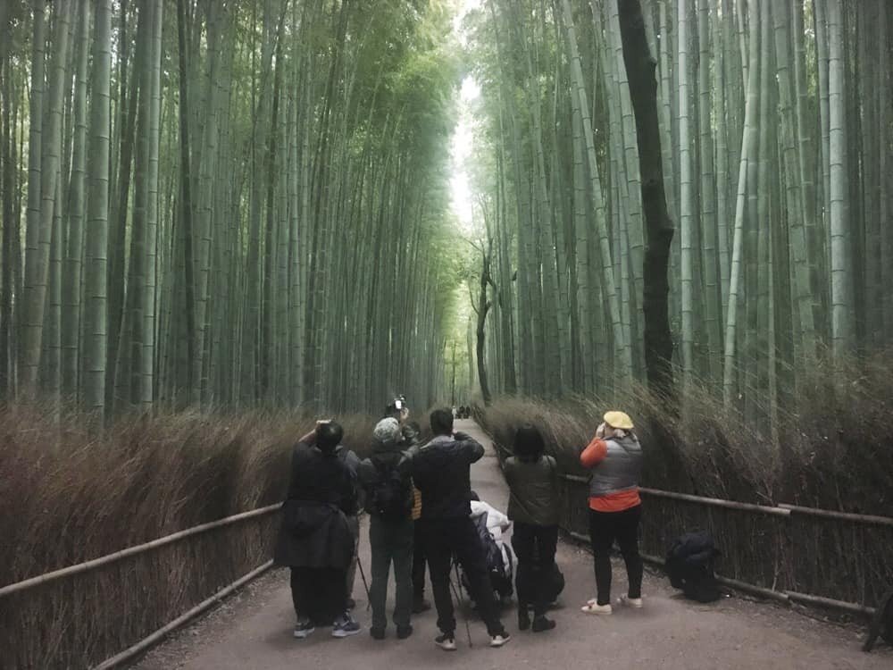 Arashiyama Bamboo Grove, Kyoto, Japan