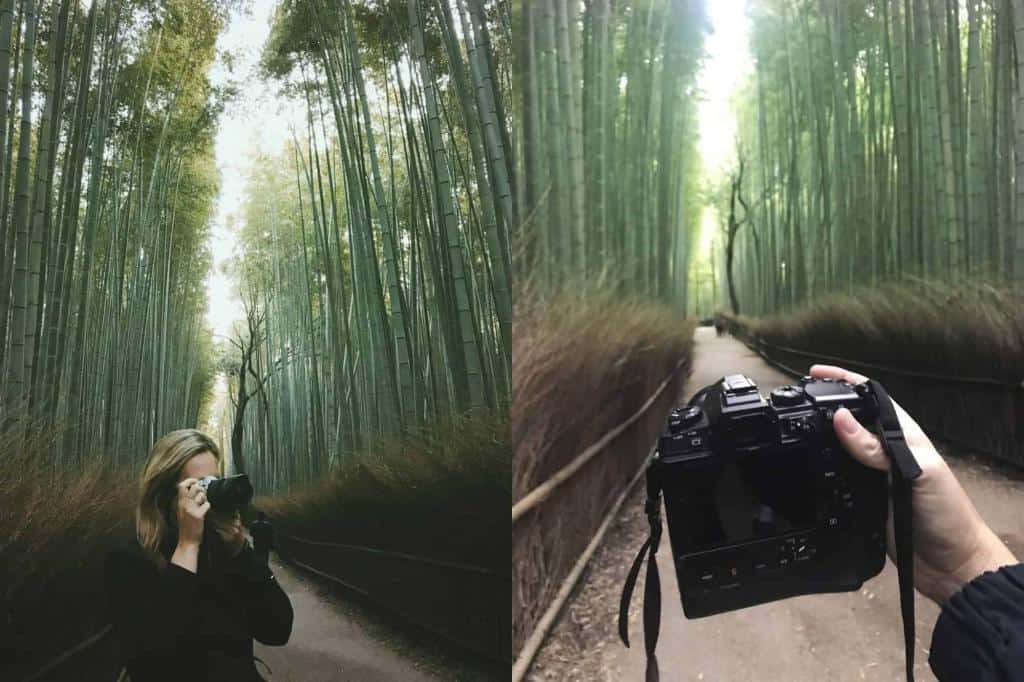 Arashiyama Bamboo Grove, Kyoto, Japan