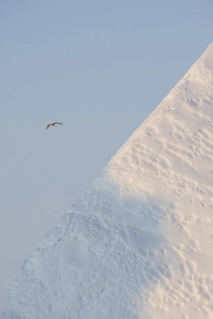 Minimalist Landscape Photography - Arctic Flight