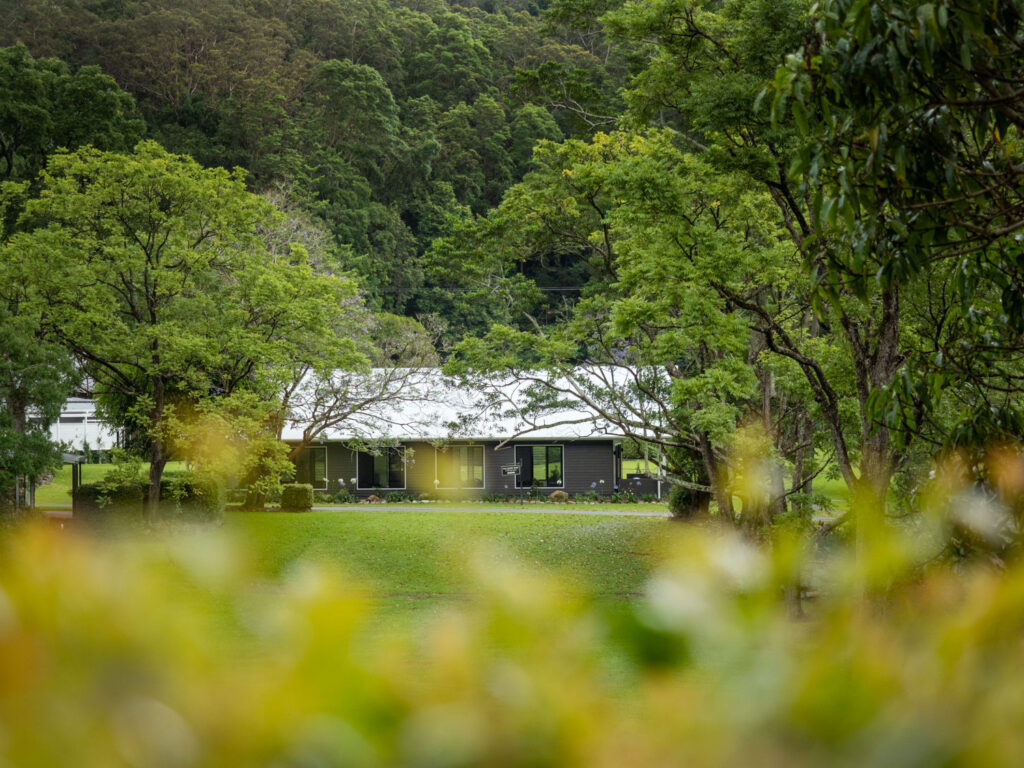 Eden Health Retreat Creative Escapes Review