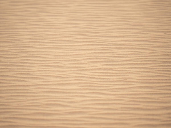 Landscape Photography - Capturing Details within a Scene - Photo Tips ...