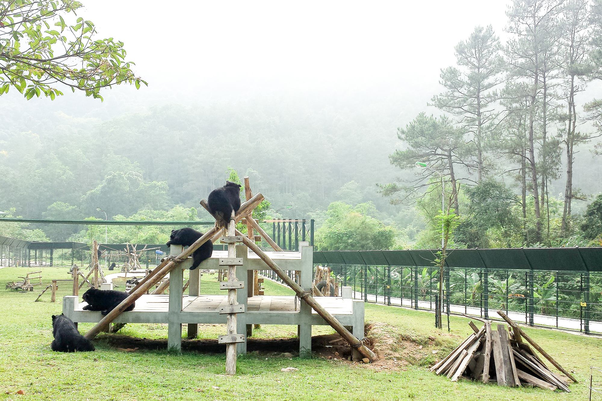 Animals Asia Vietnam Bear Sanctuary