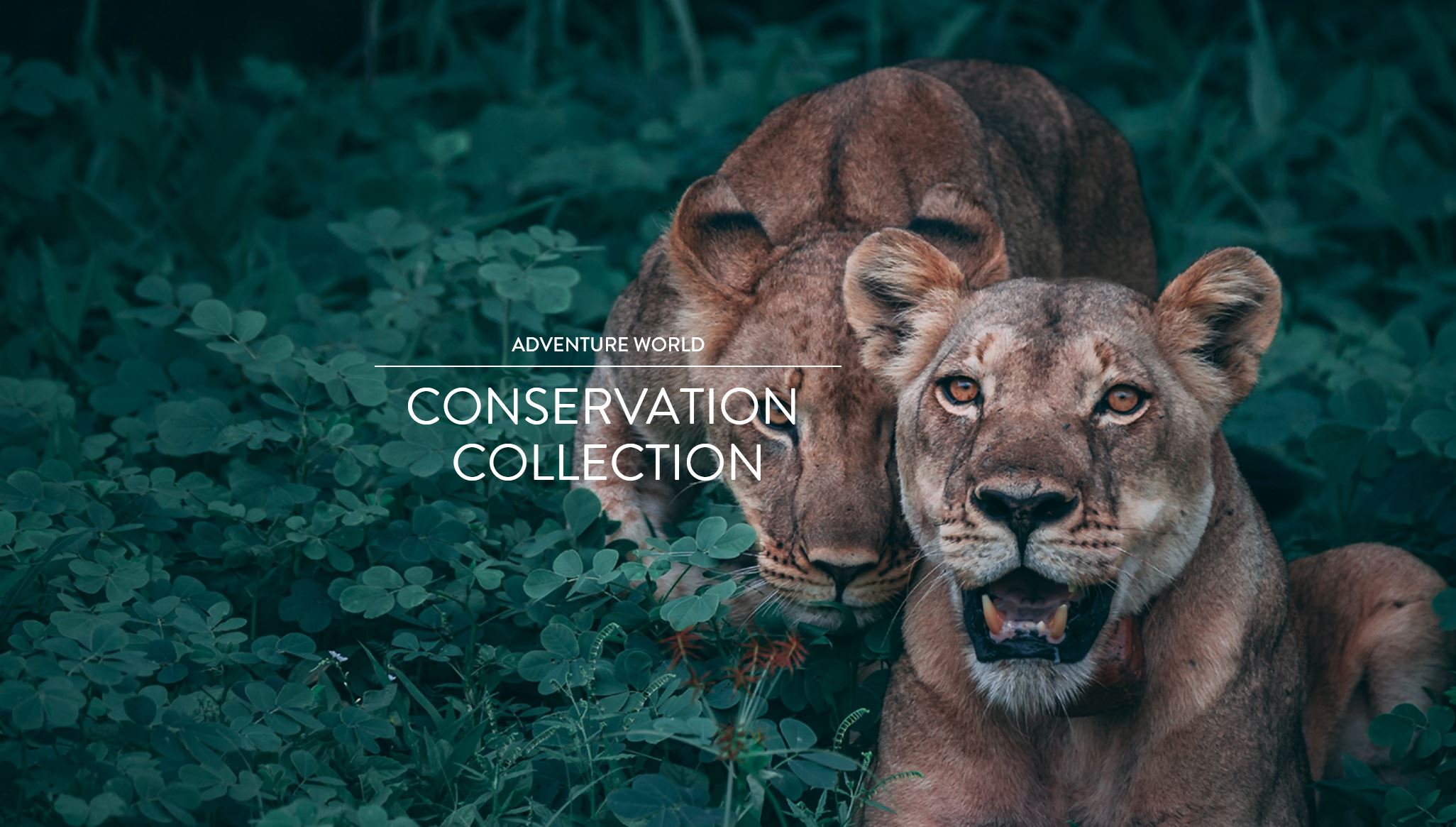 Adventure World Conservation Collection