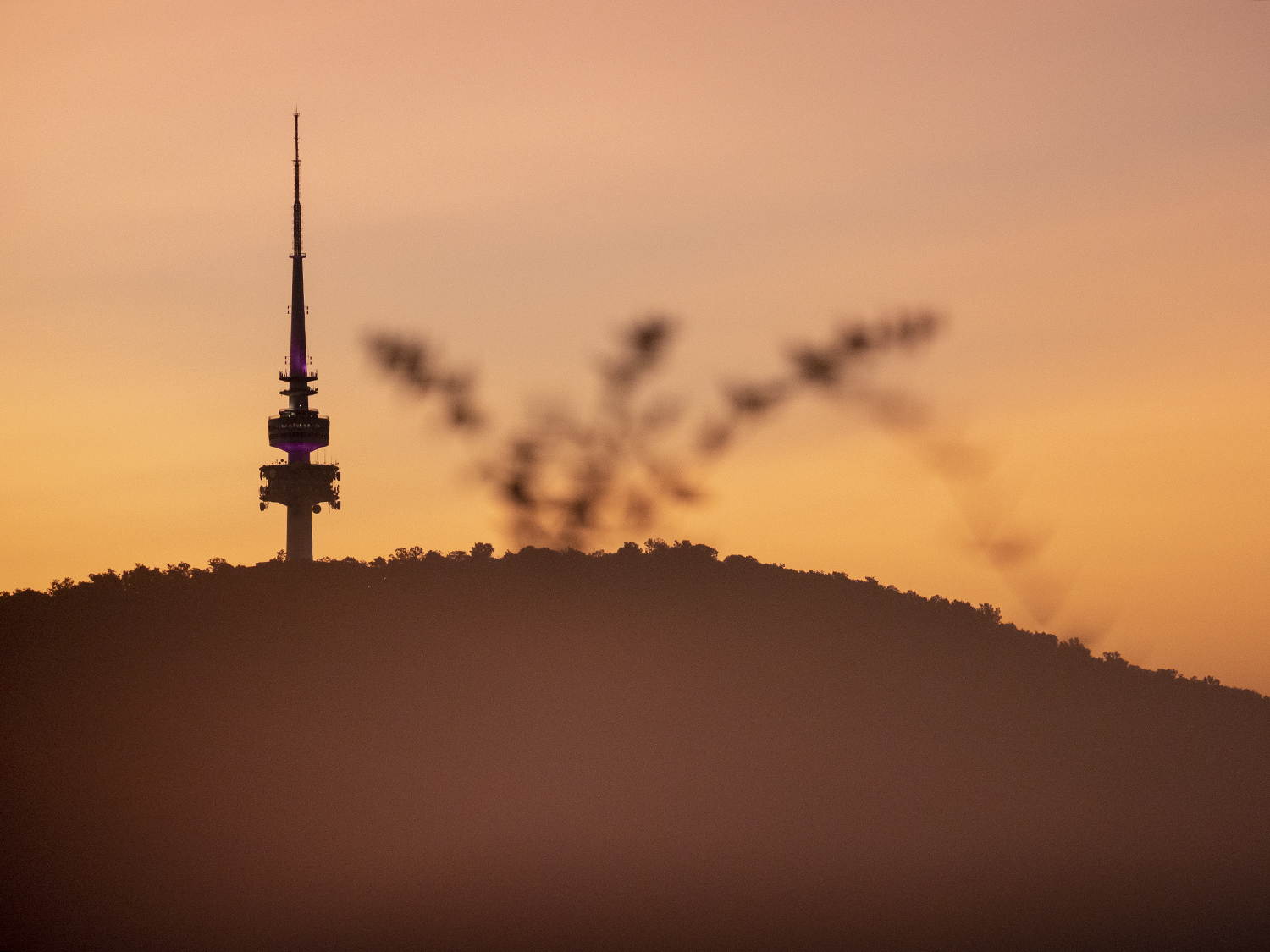 Telstra Tower, Black Mountain Canberra