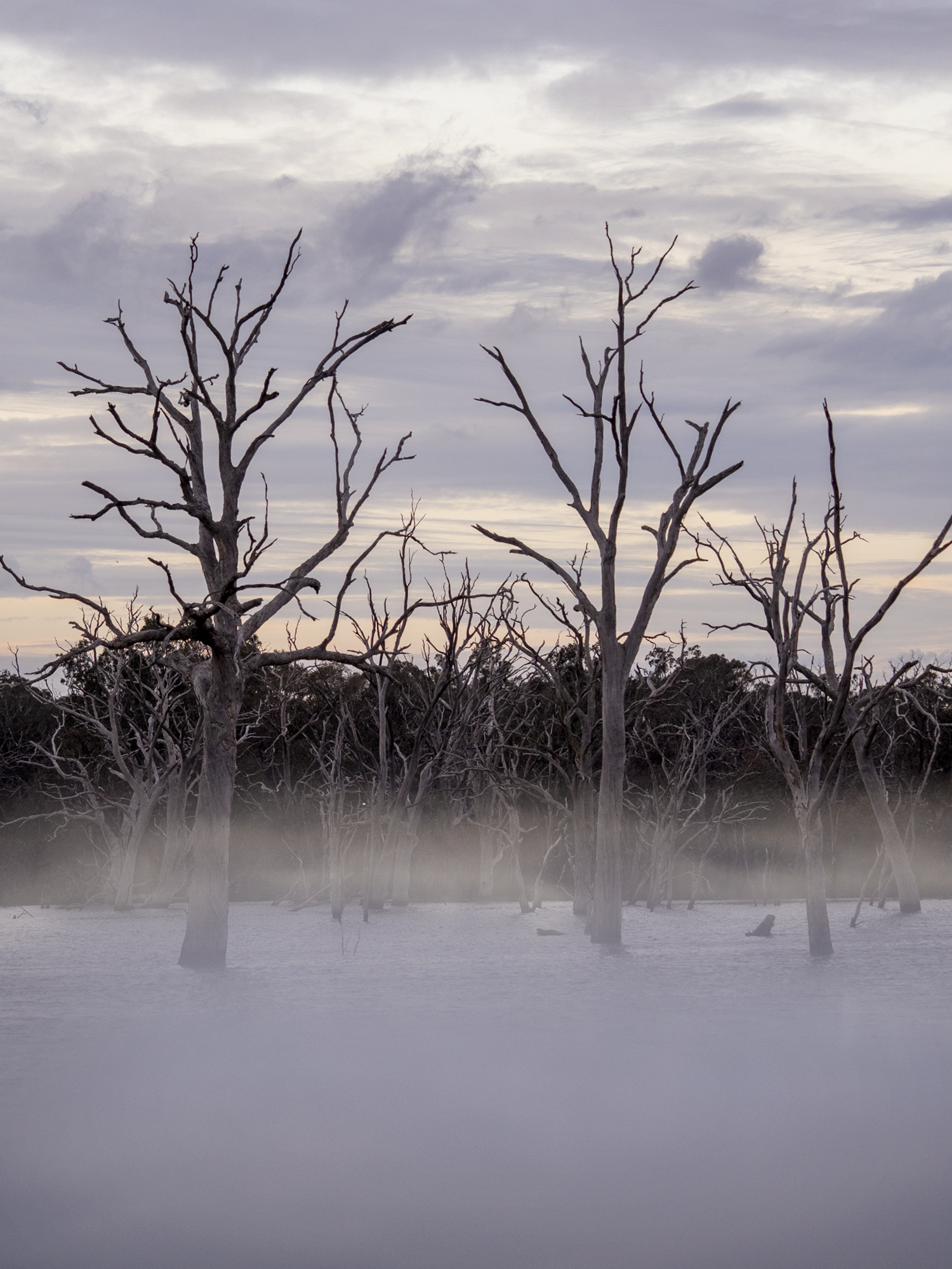 Mulligans Flat Nature Reserve