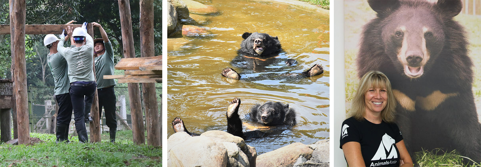 Animals Asia Vietnam Bear Sanctuary