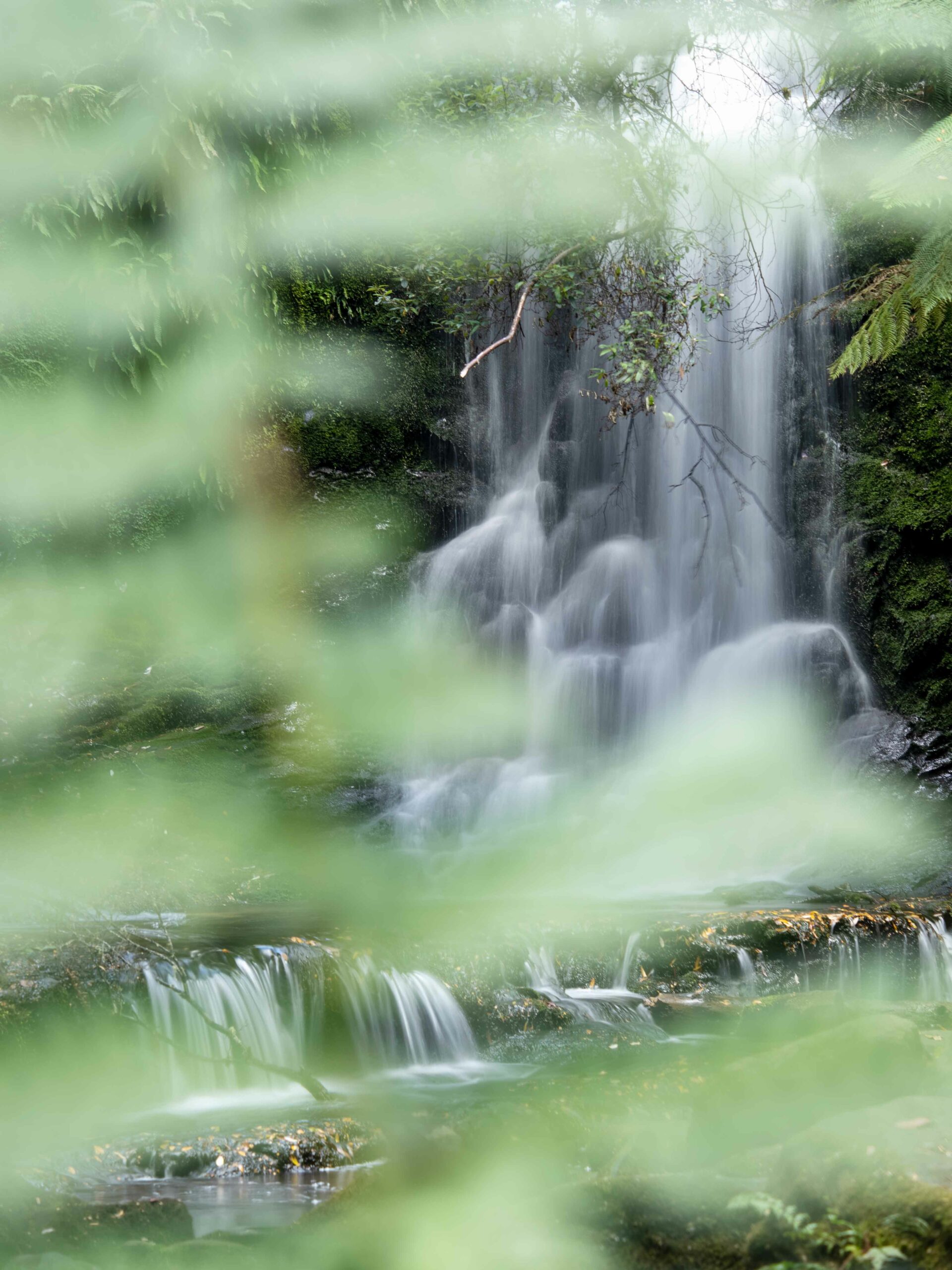 Horseshoe Falls, Mount Field National Park