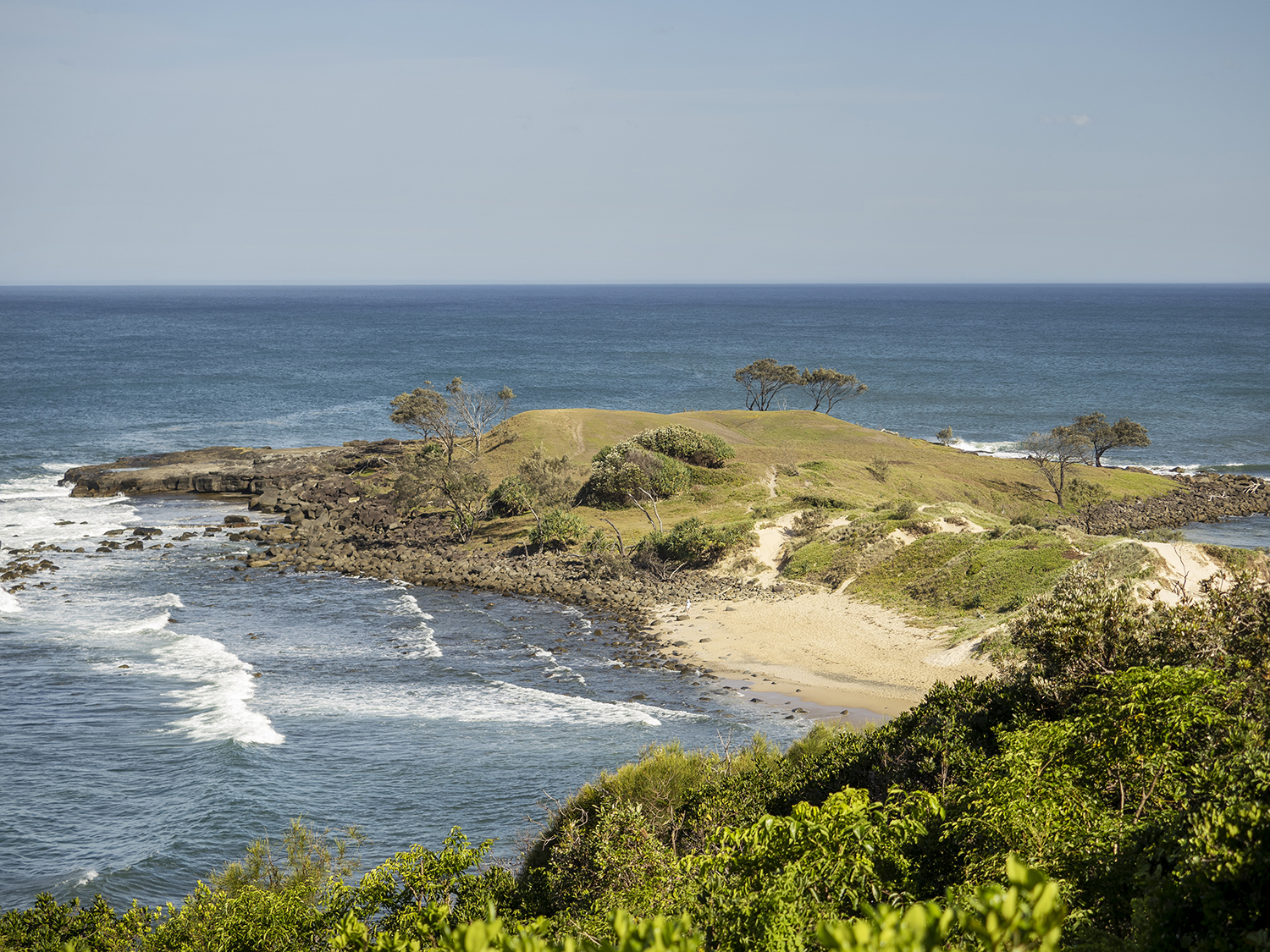 Angourie Point