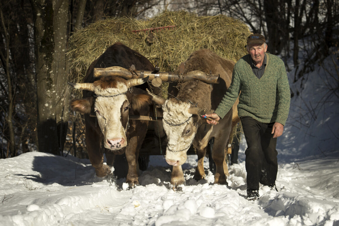 Romania Rual A Guide to Photographing in Romania - Bucharest + Landscapes