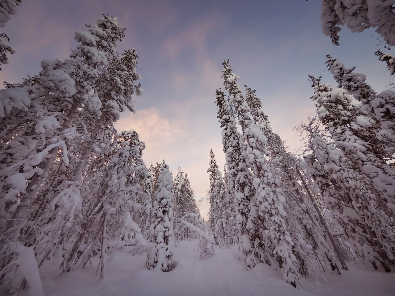 Shooting in the Low Light Conditions of Polar Night