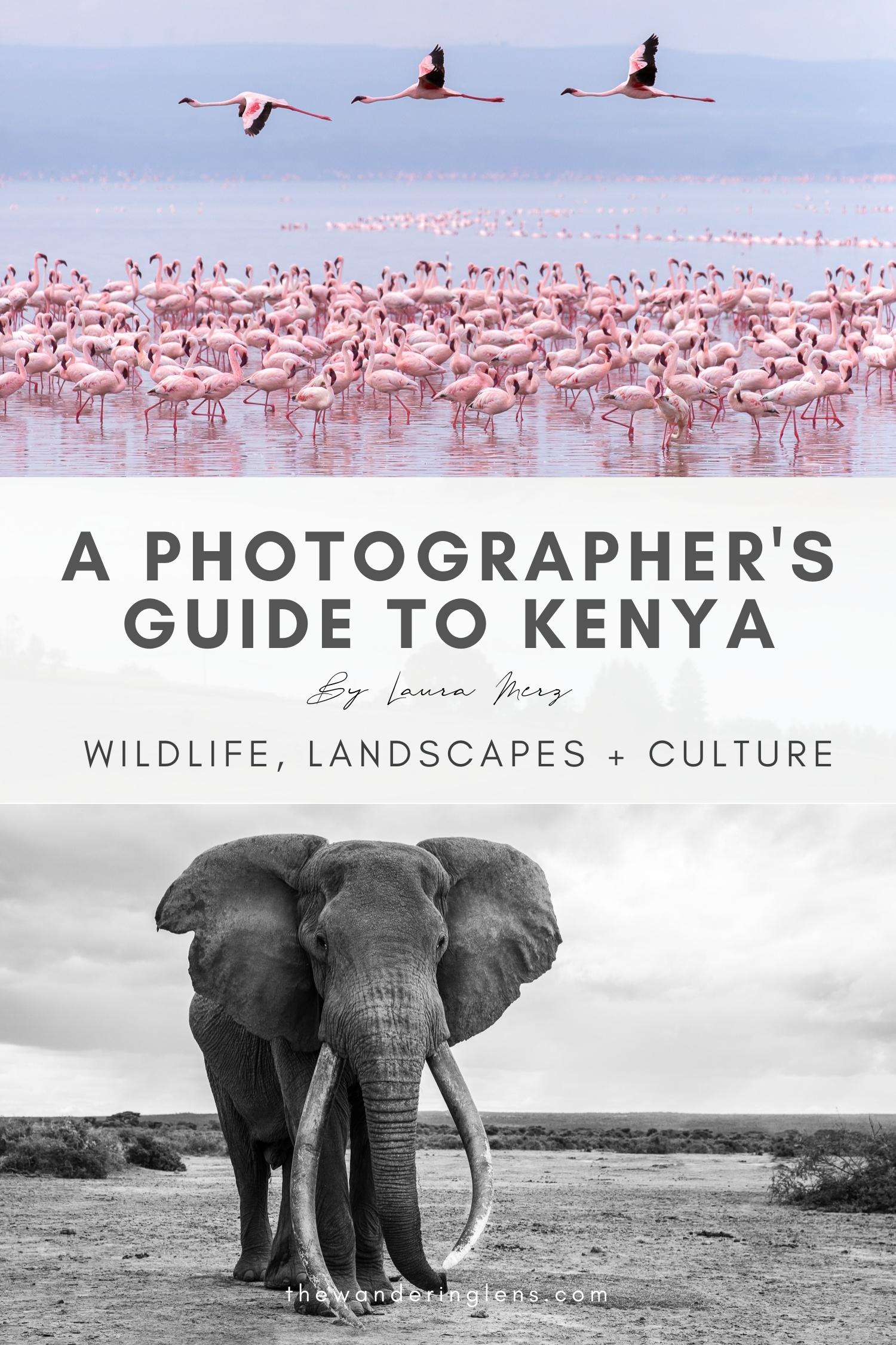 Kenya Photography Guide by Laura Merz