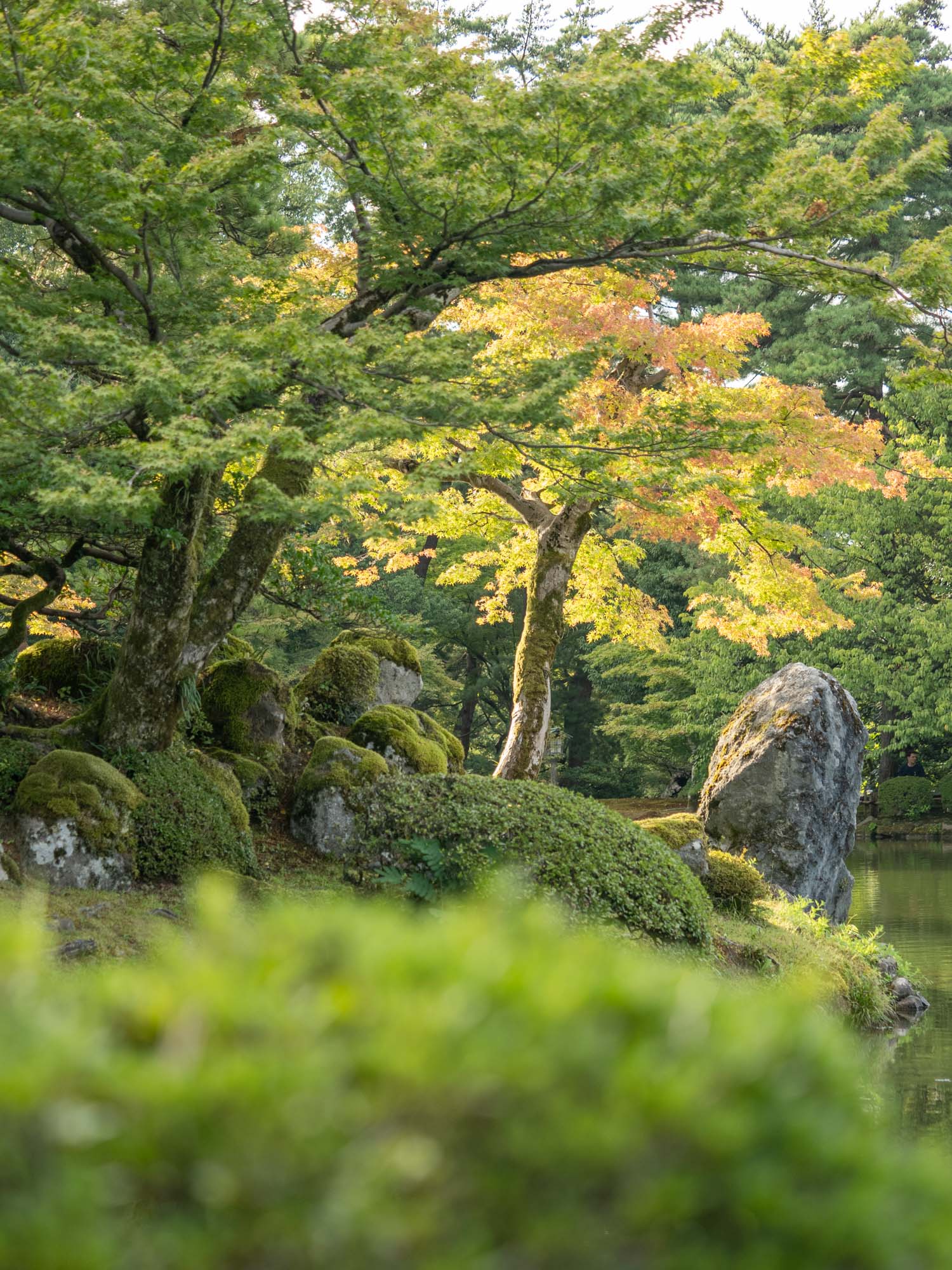 Kenrokuen Gardens with autumn colours