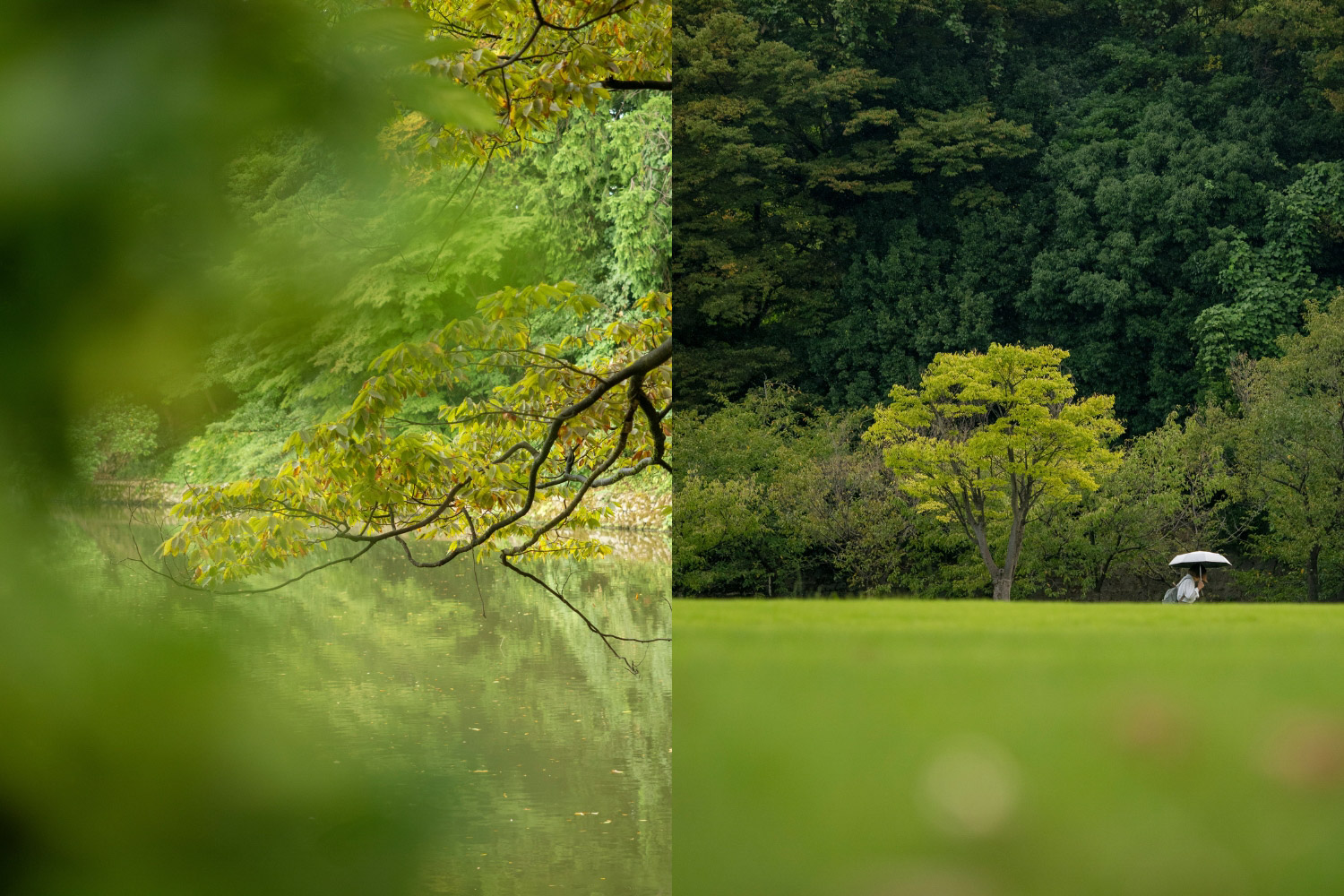 Kanazawa Castle Park, Japan