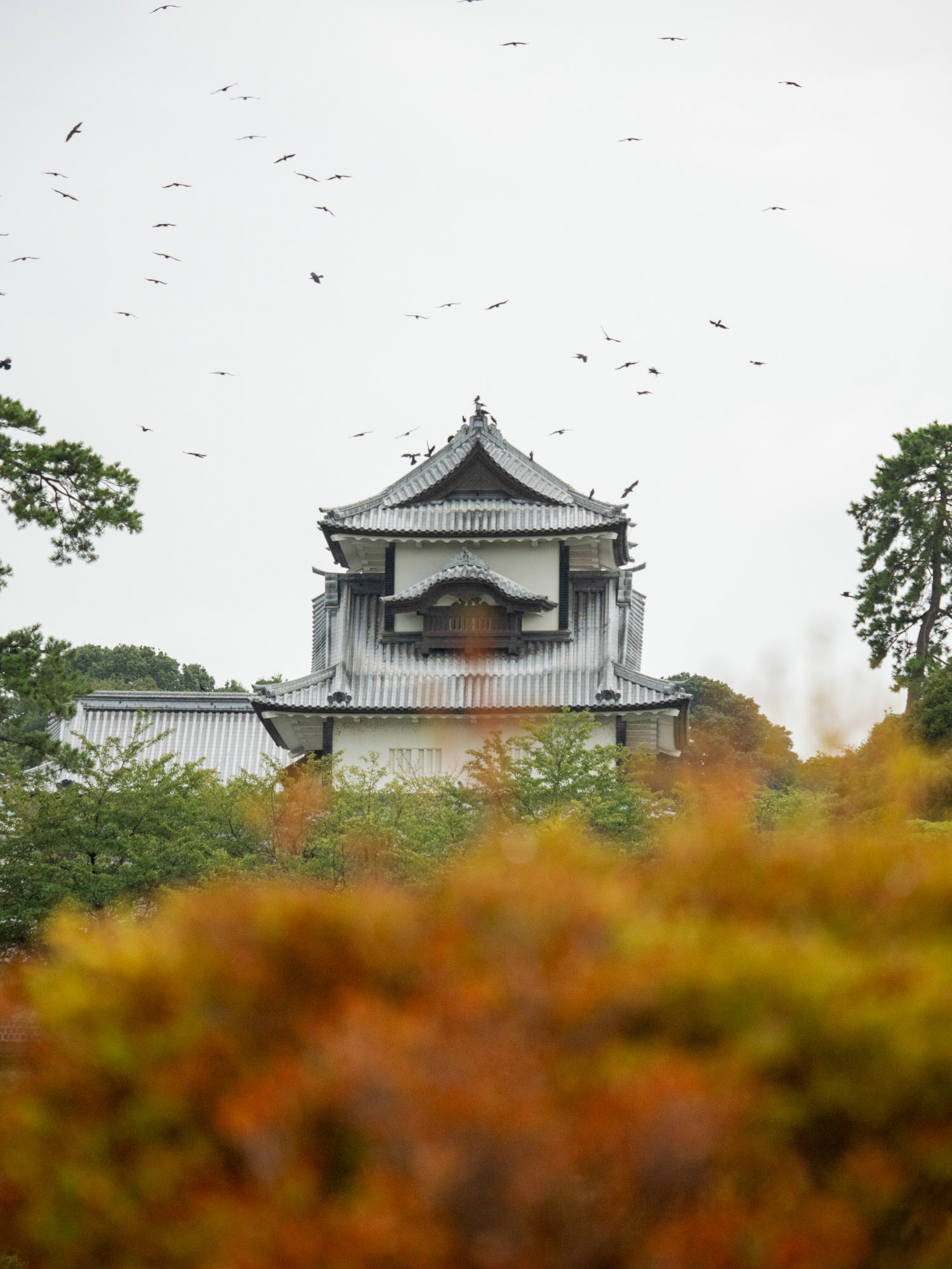 Kanazawa Castle Park